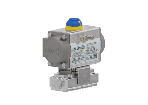 Actuated Manifold Valves